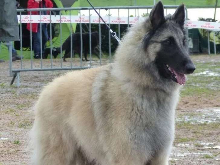 Du Pays des Bastides