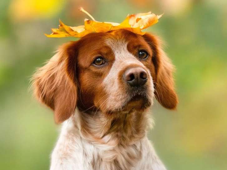 Ystelle Photographie