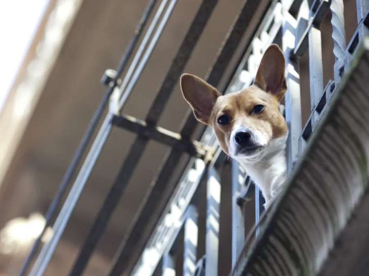 Un Instant De Lumière