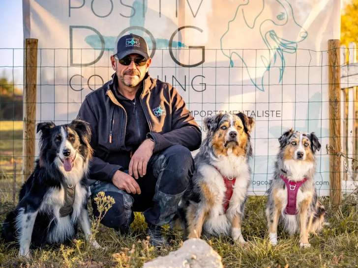 Positive Dog Coaching