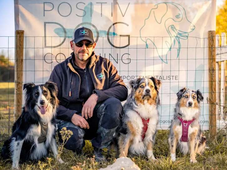 Positive Dog Coaching