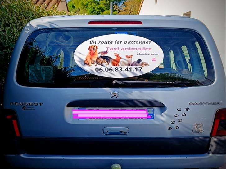 En route les Pattounes