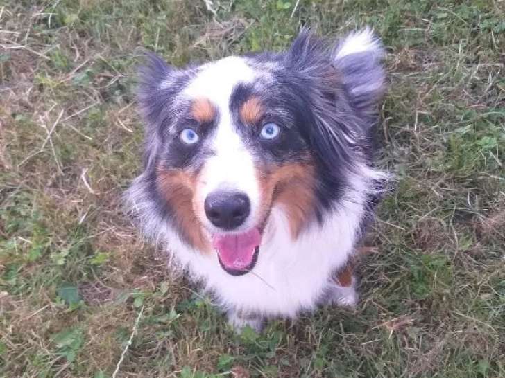 De La Vallée Indienne