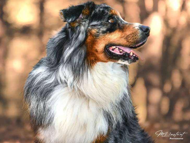 M l'instant photographie