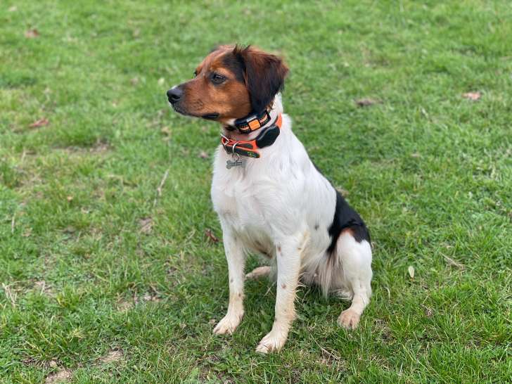 De la Vallée d'Anogrune