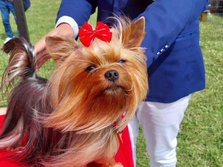 La Villa du Sieur Paoli