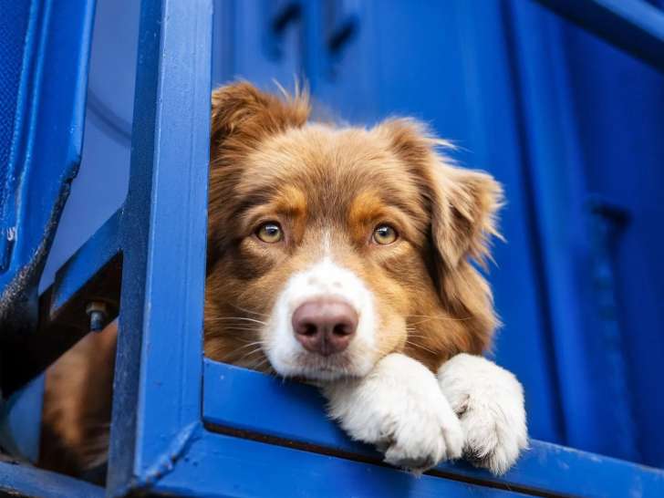 Loriane Photographie