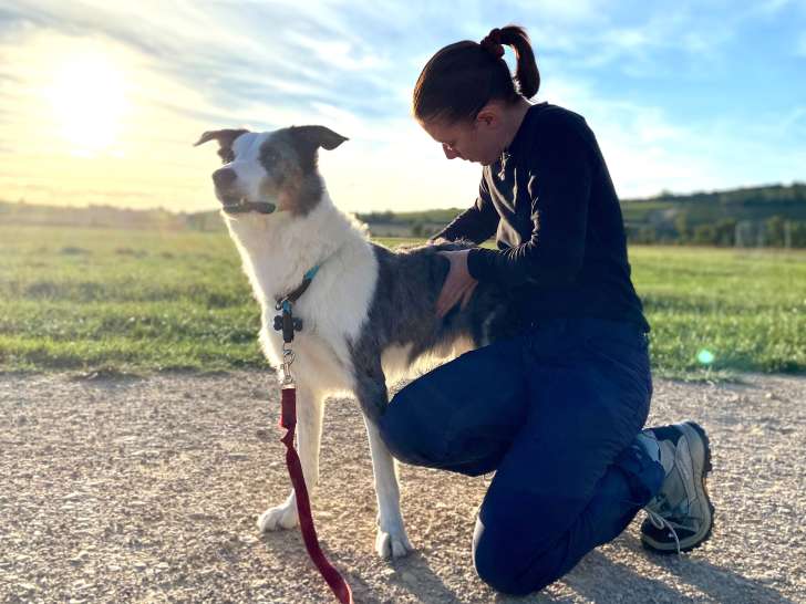 Séance d'ostéopathie canine