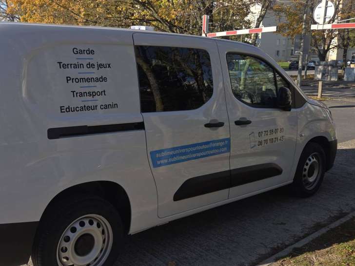 Sublime Univers Pour Toutou