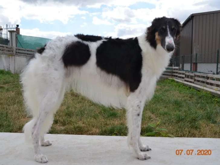 De la Bonne Harmonie