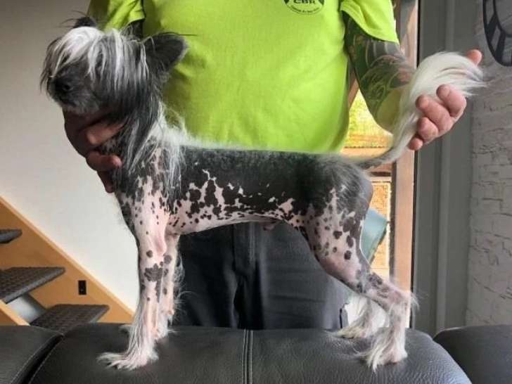 De l'Atoll de Tikéhau