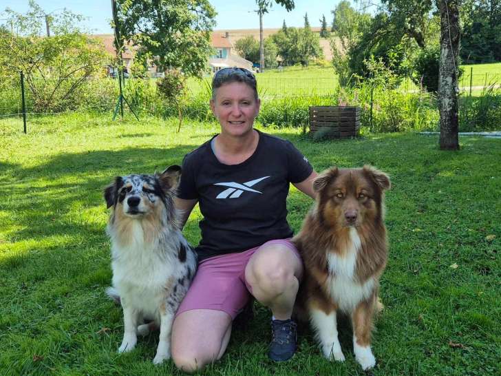 Lorem Animalis - L'Univers Canin 55