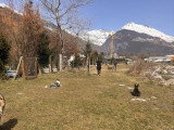 Centre Canin de Haute Tarentaise