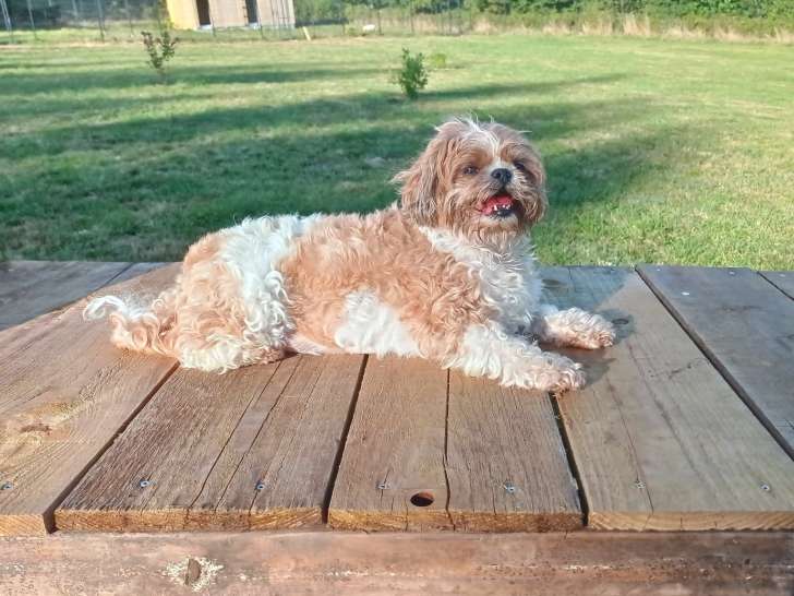 Hôtel Canin du Faouët