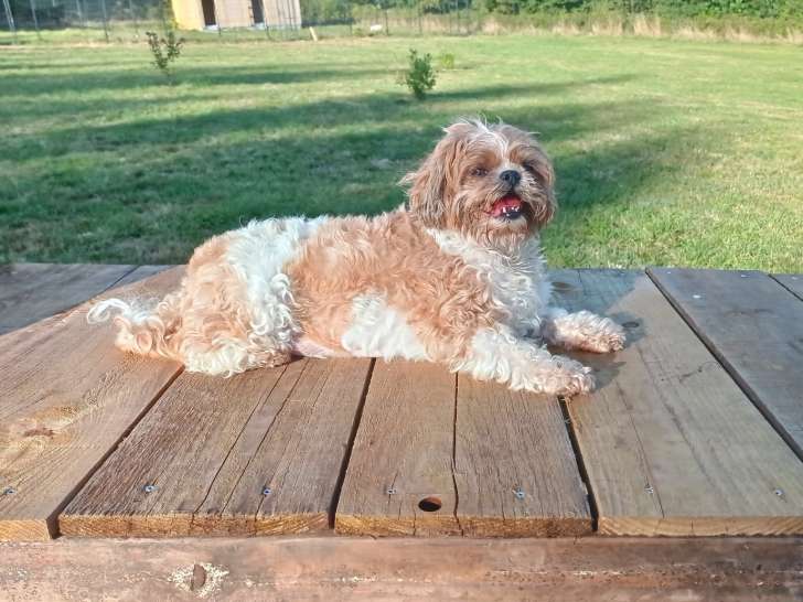 Hôtel Canin du Faouët