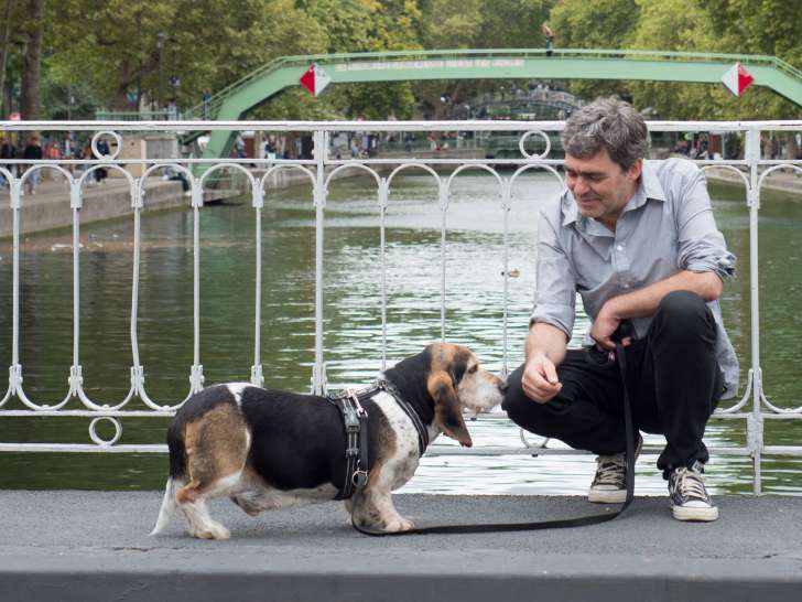 Comportementaliste Paris