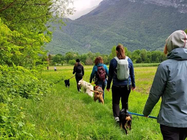 La main dans la patte