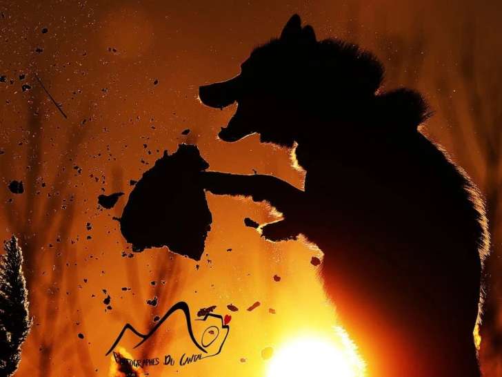 Photographes du Cantal