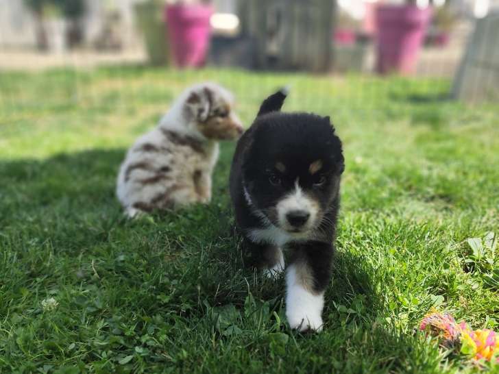 Domaine des Charbons Ardents