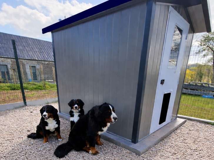 Du domaine d'Ohcumgache