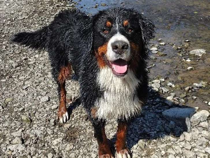 Du domaine d'Ohcumgache