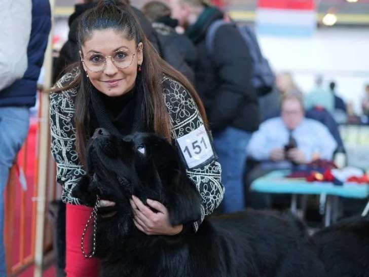 Of The Rainbow Goose Shepherd