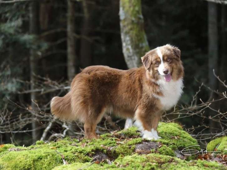Du Chemin de L'Espoir