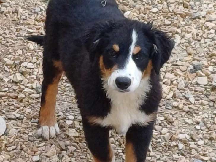 Du Domaine de Malokyty Hateya