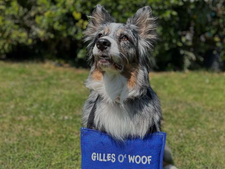 Gilles Owoof