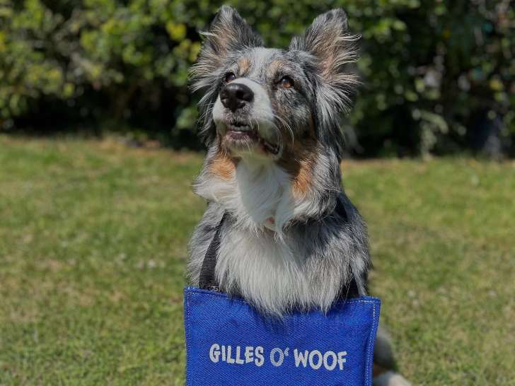 Gilles Owoof