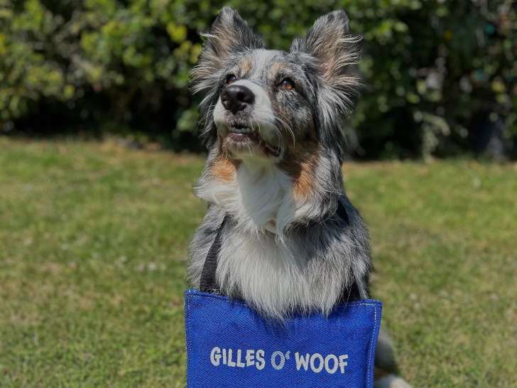 Gilles Owoof