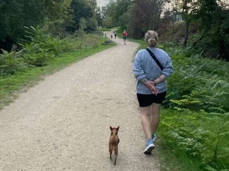 La Maison du Chien Orange