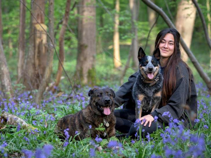 Au Fil de leur Flair