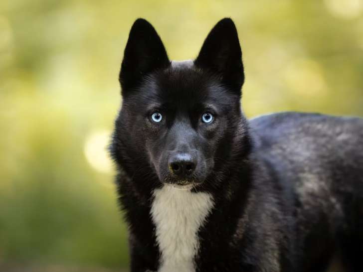 Au Fil de leur Flair