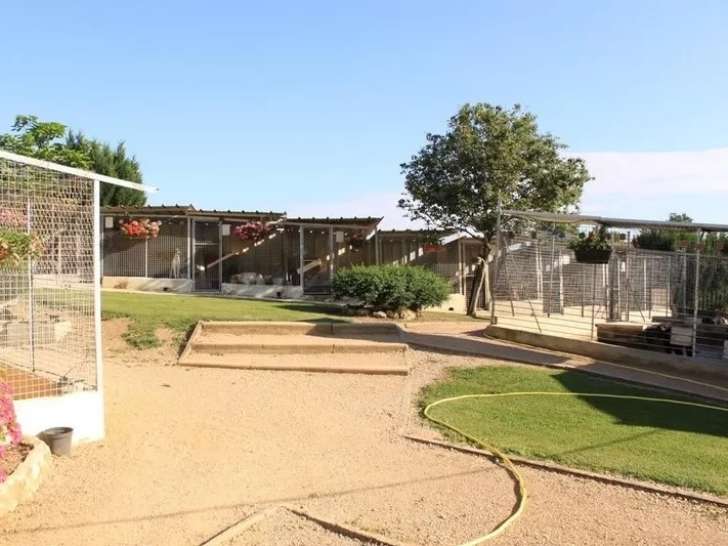 L'Enclos des Jonquilles