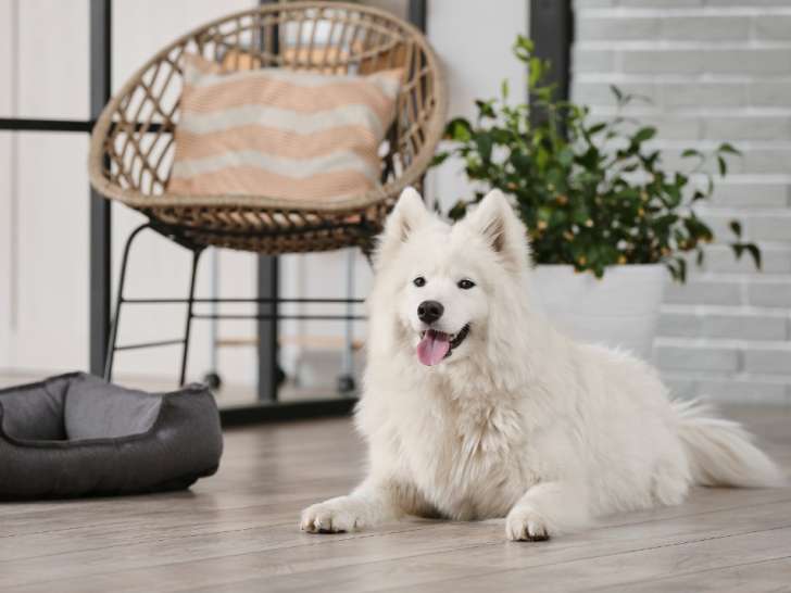 Eduquer pour Protéger 