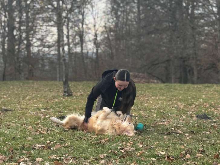 Domaine des Saphirs Dorés