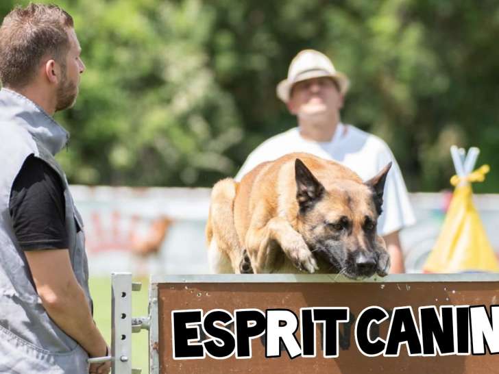 Esprit Canin 