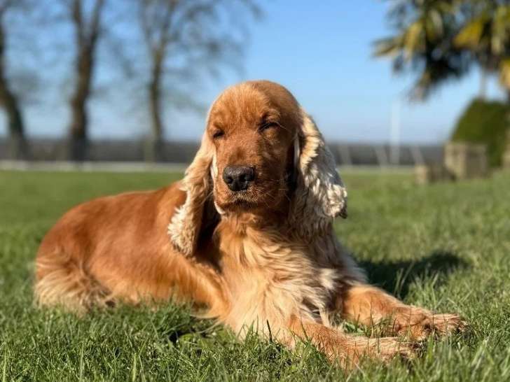 Des Joyaux des Ki Millacs