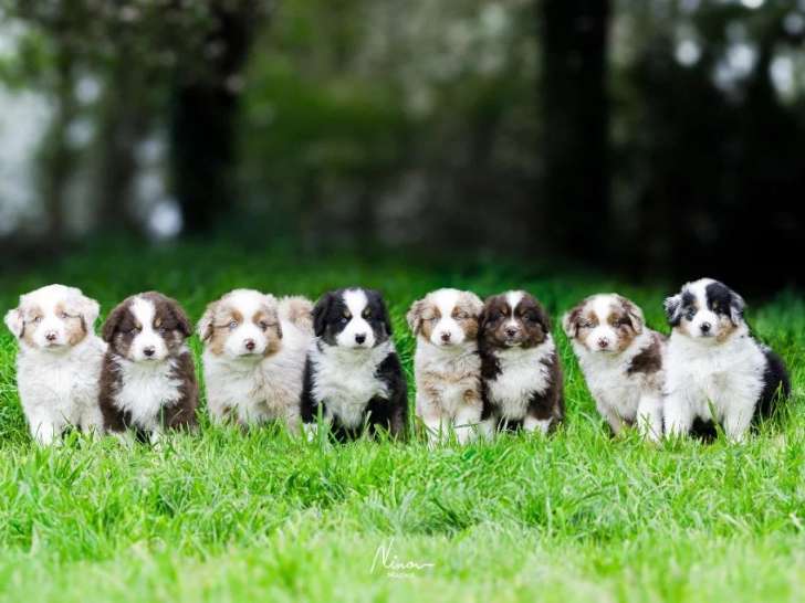 Des Légendes de l'Ouest