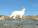 De la Croix Naudin