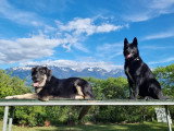 Centre Canin de la Dent de Crolles