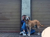 Parlons canin