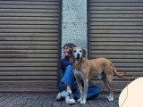 Parlons canin
