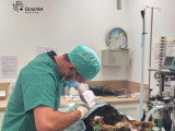 ClinicVet Beaumont-le-Roger