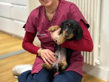 ClinicVet Étrépagny