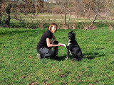 CaniDuo- Education & Comportement canin