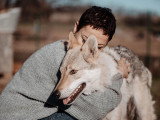 The Walking Dogs Center