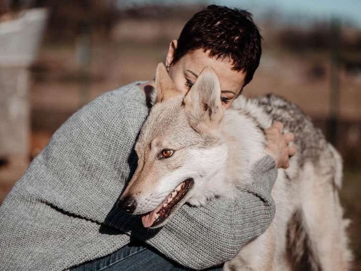 The Walking Dogs Center