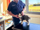 ClinicVet Forges-les-Eaux